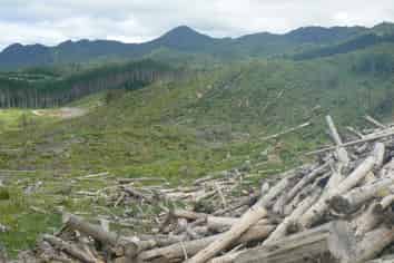 Lot 65 Stoney Creek Road, Kaikohe