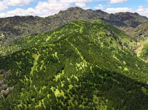 Pukehuia Road, Tangiteroria