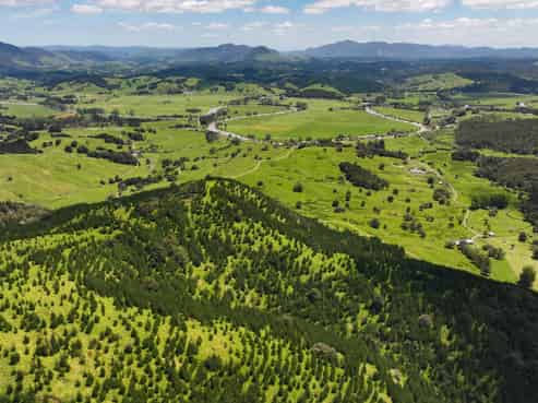Pukehuia Road, Tangiteroria