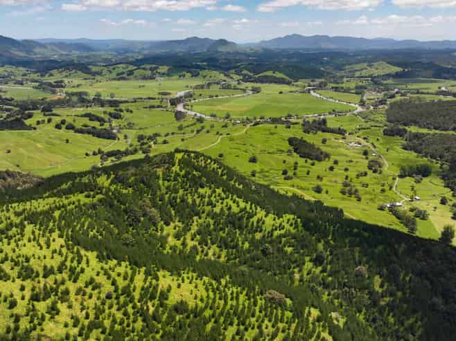 Pukehuia Road, Tangiteroria