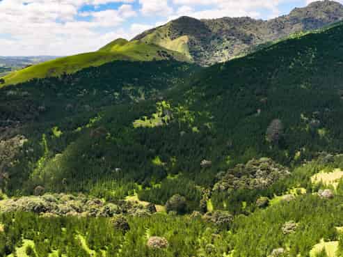Pukehuia Road, Tangiteroria