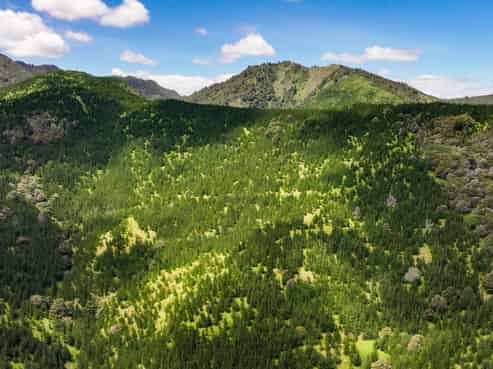 Pukehuia Road, Tangiteroria