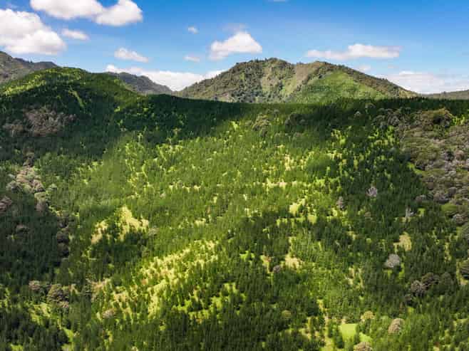 Pukehuia Road, Tangiteroria