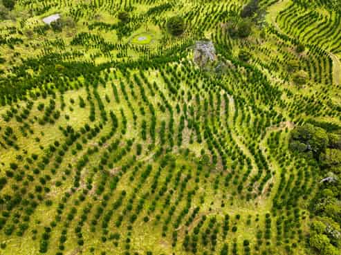 386 Pawarenga Road, Broadwood