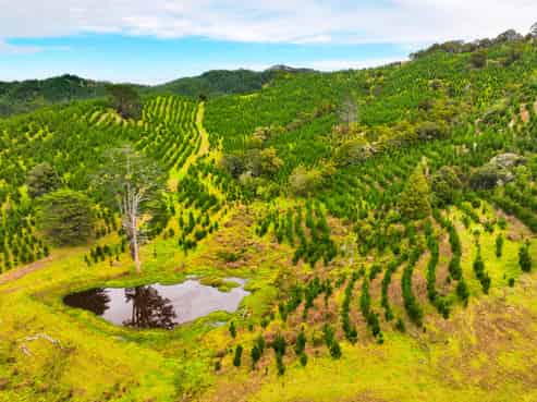 386 Pawarenga Road, Broadwood