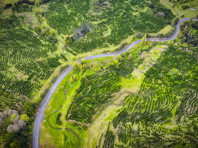 386 Pawarenga Road, Broadwood