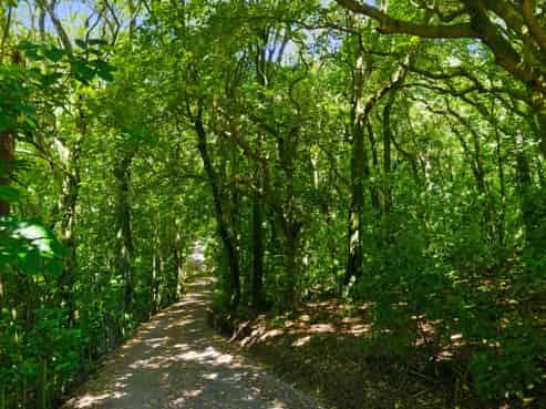 193 State Highway 1, Waikanae