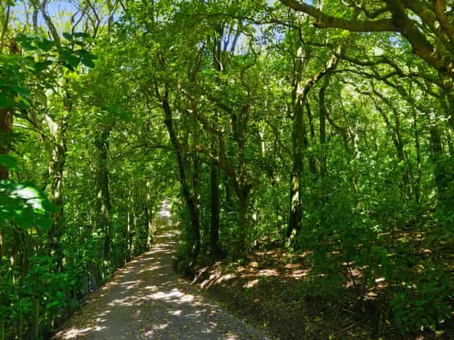 193 State Highway 1, Waikanae