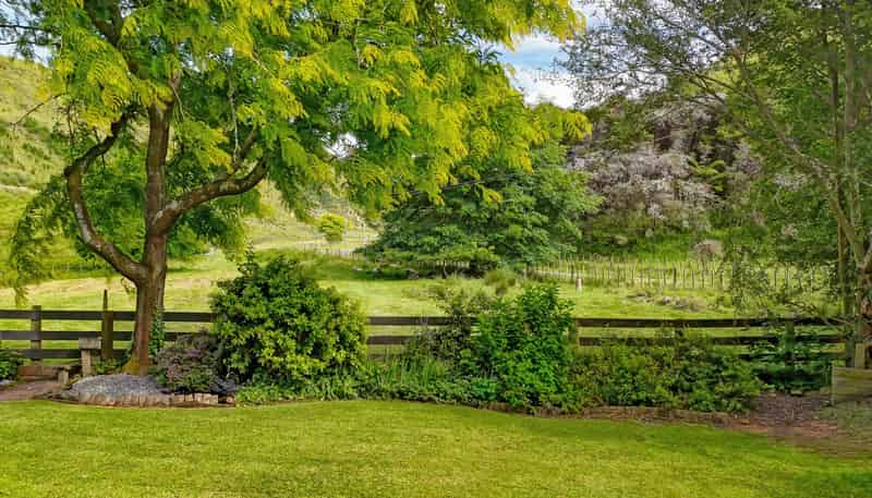 82 Thompsons Road, Okoia