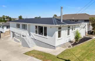 20 Ellis Avenue, Mount Roskill