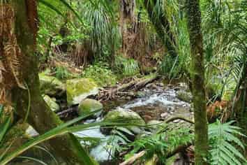 Northland - Address withheld