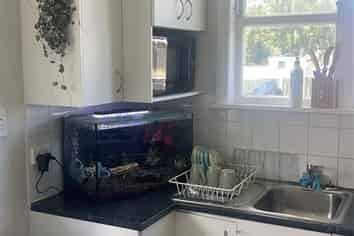 6 Hawkey Street, Kensington