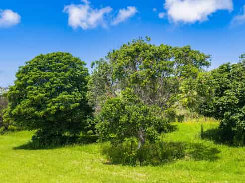 249 Barrier View Road, Mangawhai Heads