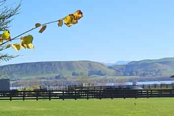 Lot 4 Whare Roto Drive, Waipukurau and Surrounds