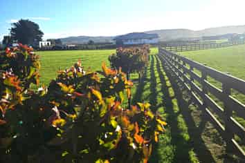 Lot 4 Whare Roto Drive, Waipukurau and Surrounds