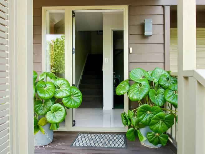 10B Hall Street, Cambridge