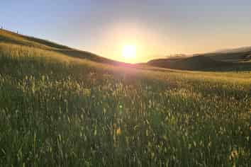 964 Tarata Road, Kaimata