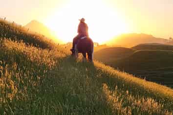 964 Tarata Road, Kaimata