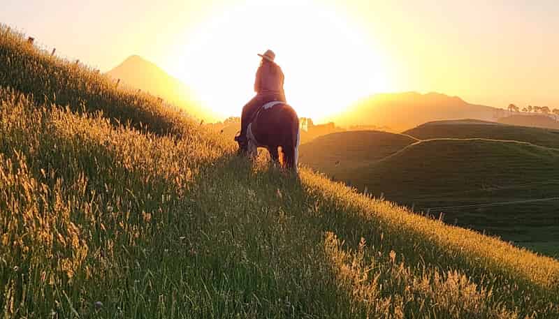 964 Tarata Road, Kaimata