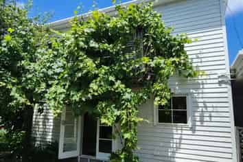 591 No 1 Road, Te Puke