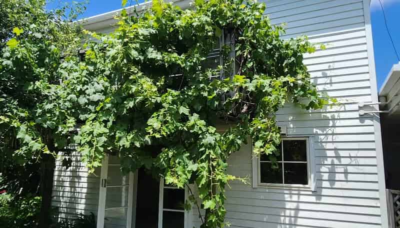 591 No 1 Road, Te Puke