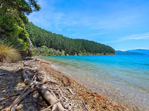  Burneys Beach, Arapaoa Island