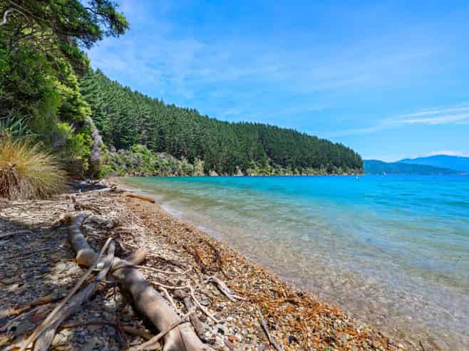  Burneys Beach, Arapaoa Island