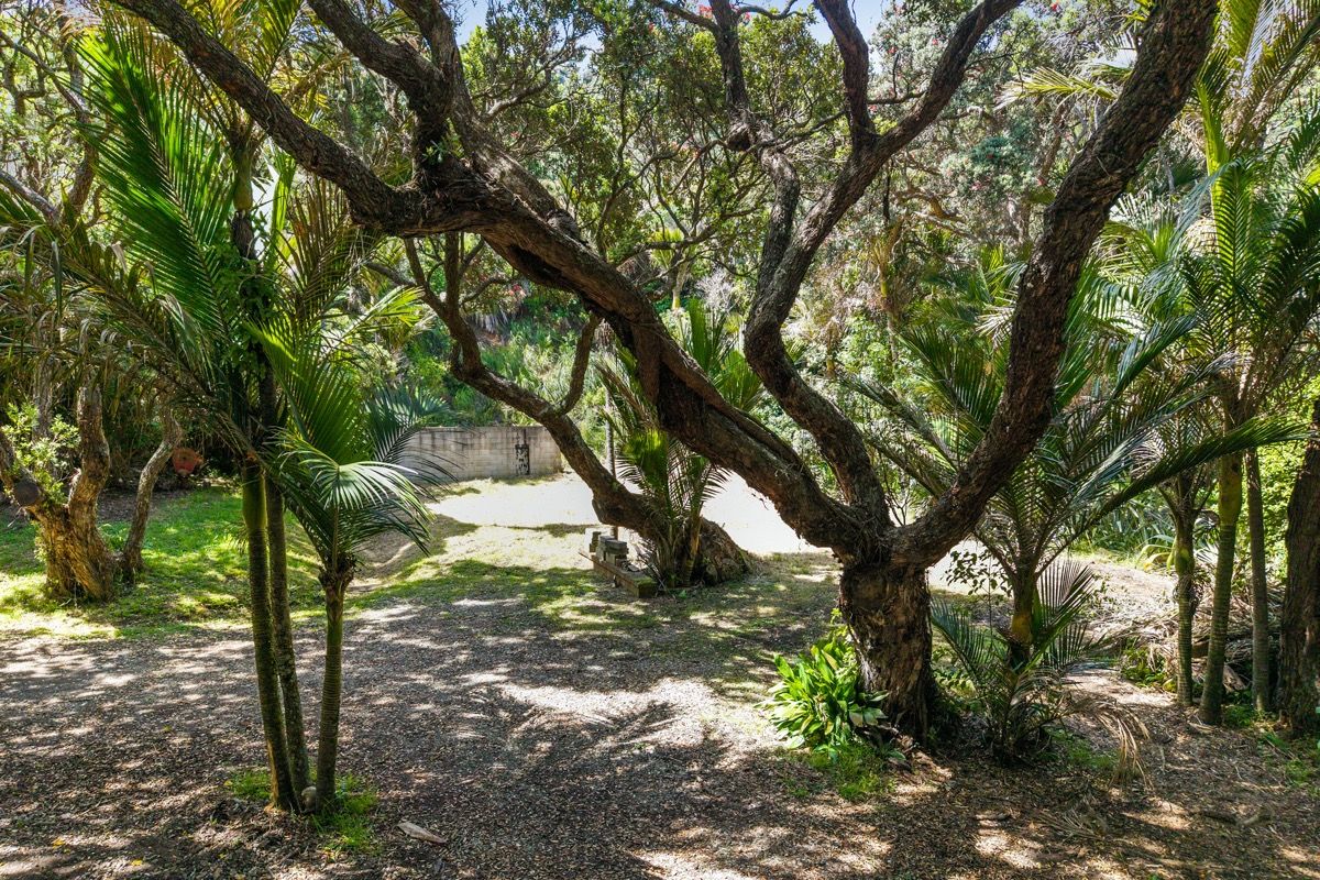 PREMIUM LOCATION - PREMIUM OPPORTUNITY - Vista 5