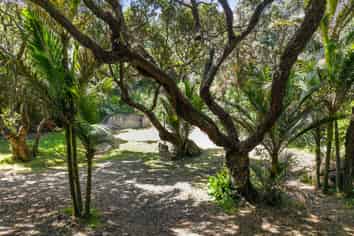 48 Beach Valley Road, Piha