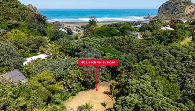 48 Beach Valley Road, Piha