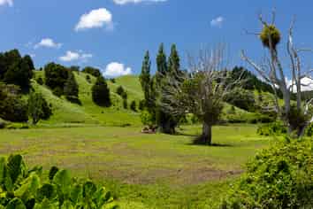 791 Fairburn Road, Kaitaia