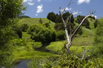 791 Fairburn Road, Kaitaia
