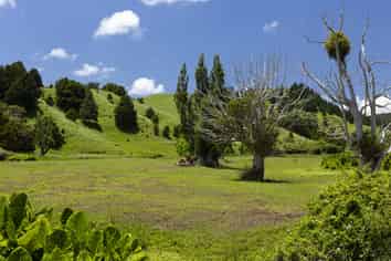 791 Fairburn Road, Kaitaia
