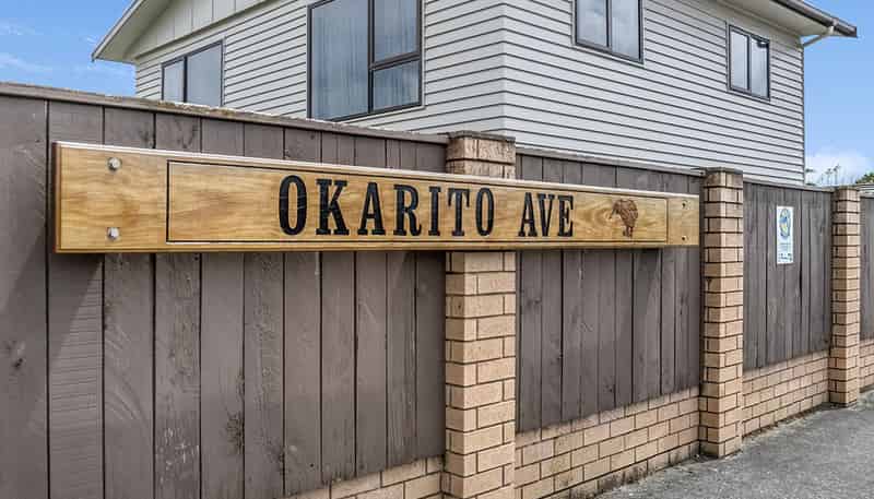 45 Okarito Avenue, Levin