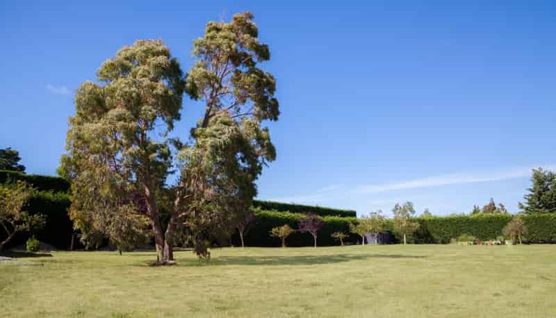 159D Lowes Road, Rolleston