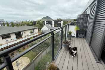 312/424 Maunganui Road, Mount Maunganui