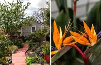 115 Fenton Street, Thames