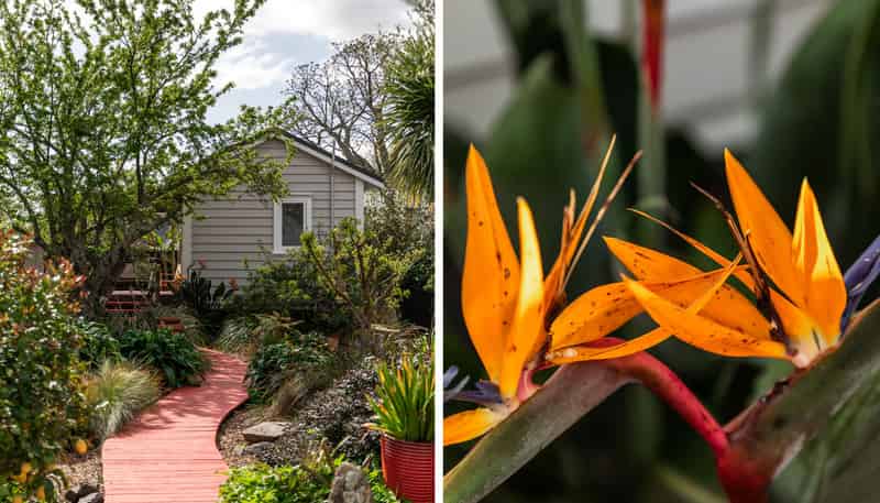 115 Fenton Street, Thames