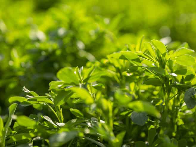 860 McHenrys Road, Kurow