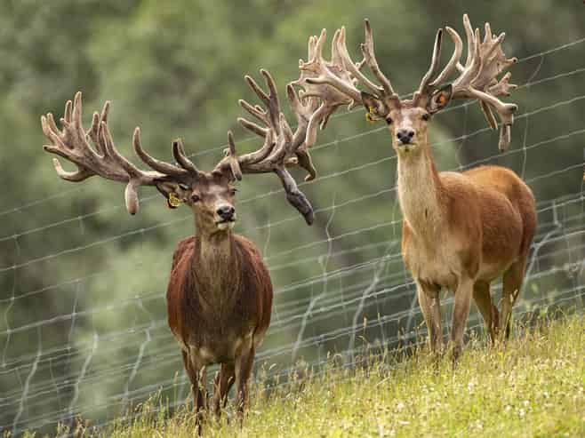 860 McHenrys Road, Kurow
