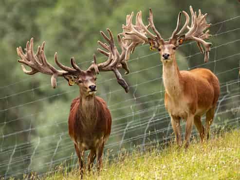 860 McHenrys Road, Kurow