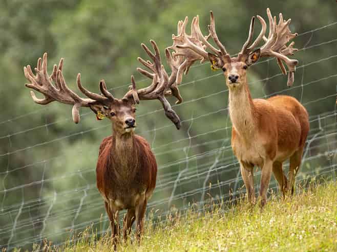 860 McHenrys Road, Kurow