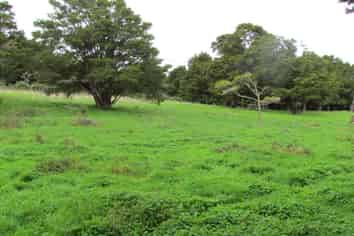  Carruth Road, Poroti