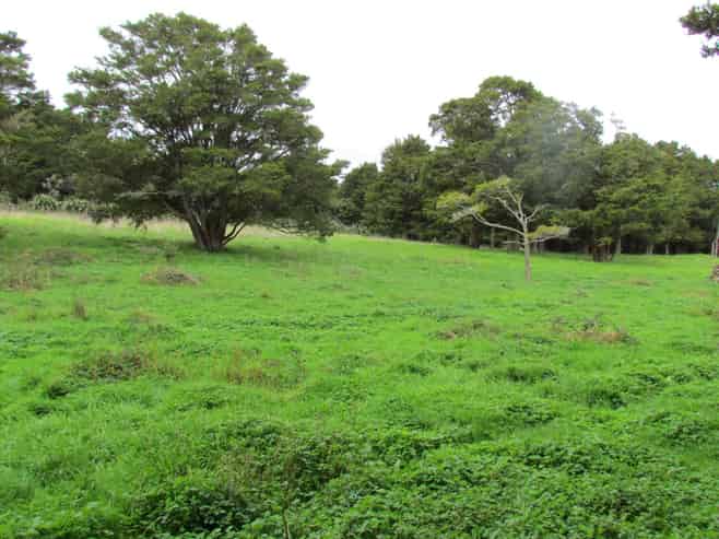  Carruth Road, Poroti