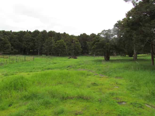  Carruth Road, Poroti