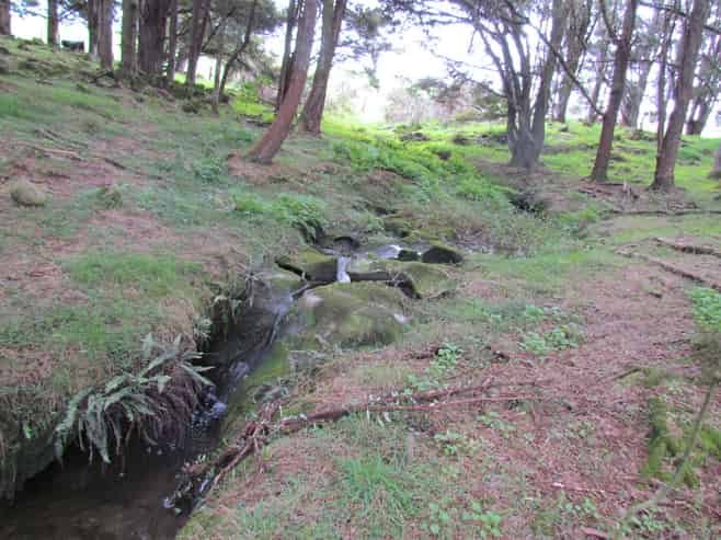  Carruth Road, Poroti