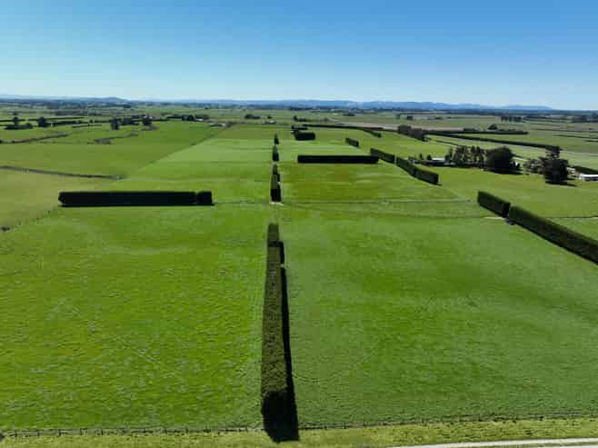 616 Woodlands Road, Mokotua