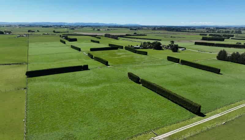 616 Woodlands Road, Mokotua