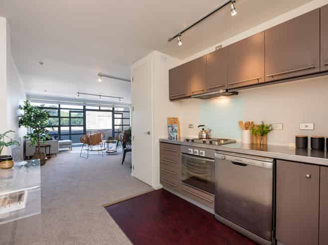 501/20 Hanson Street, Mount Cook