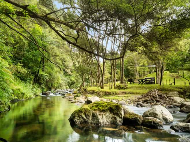 Bay of Plenty - Address withheld
